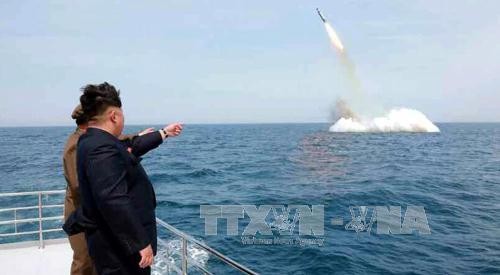 КНДР запустила баллистическую ракету с подводной лодки - ảnh 1
